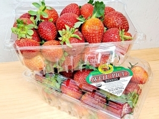 Strawberries (Import) 